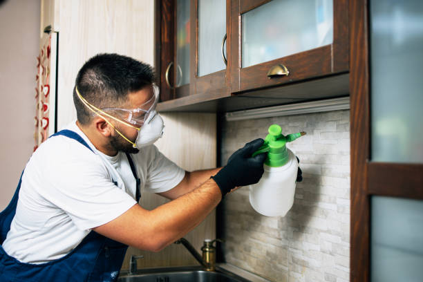 Best Local Pest Control Services  in Ashley, OH