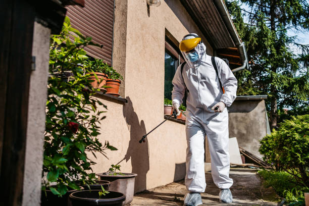 Best Affordable Pest Control Services  in Ashley, OH