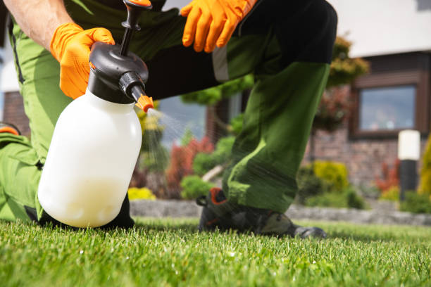 Best Pest Removal Services  in Ashley, OH