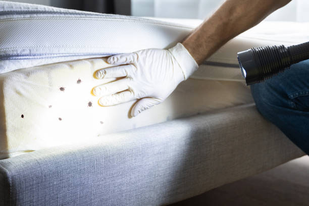 Best Insect Control  in Ashley, OH