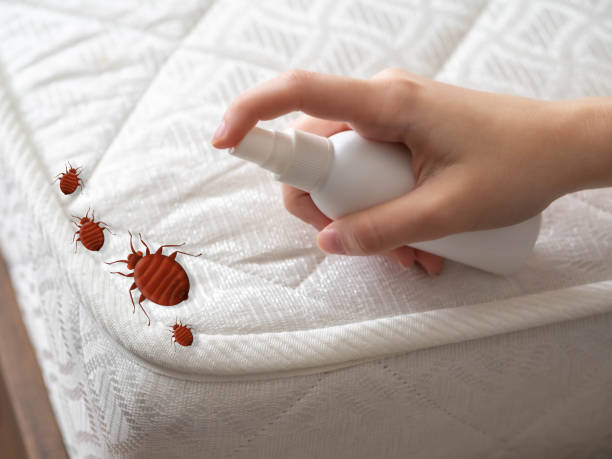 Best Affordable Pest Control Services  in Ashley, OH