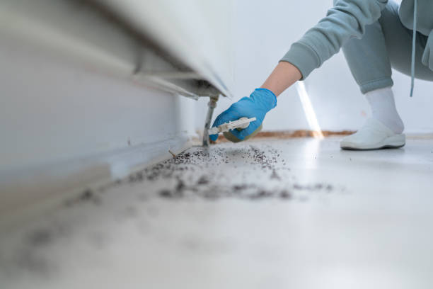 Best Ant Control Services  in Ashley, OH